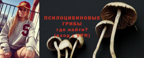 apvp Баксан